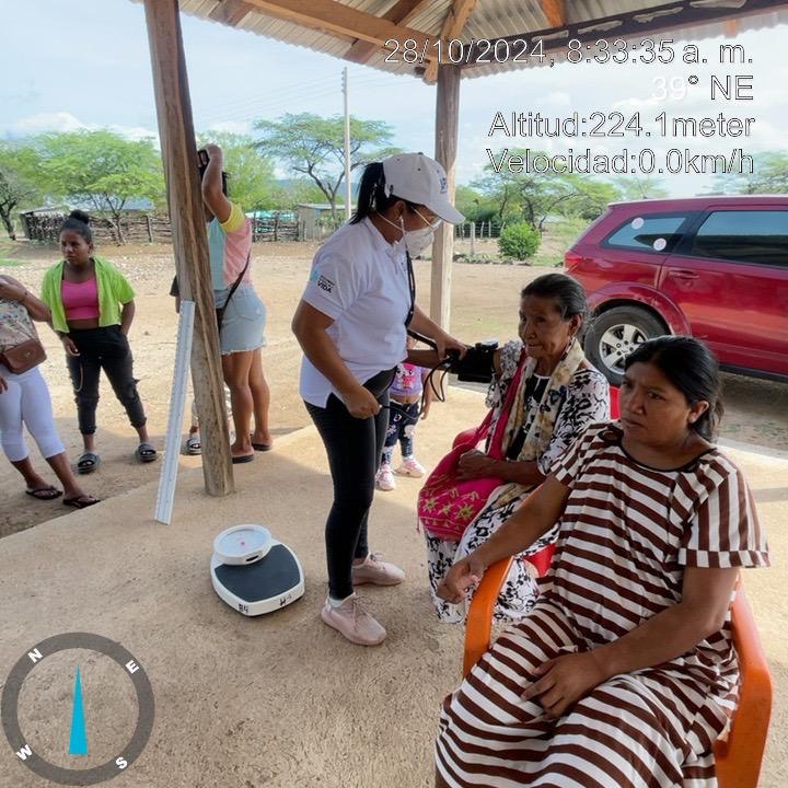 photo 4974450548820520071 x